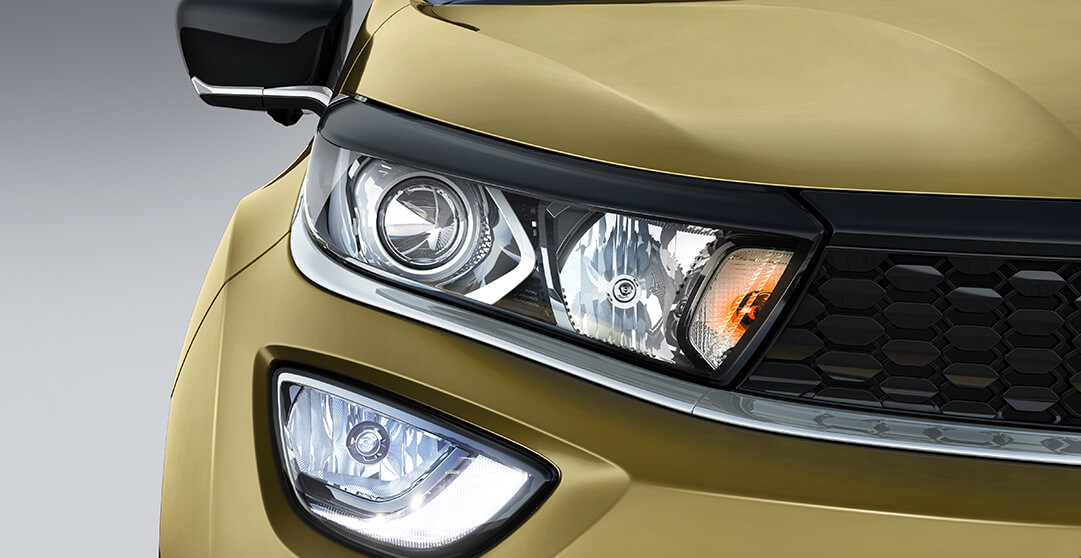 DUAL CHAMBER PROJECTOR HEAD LAMPS